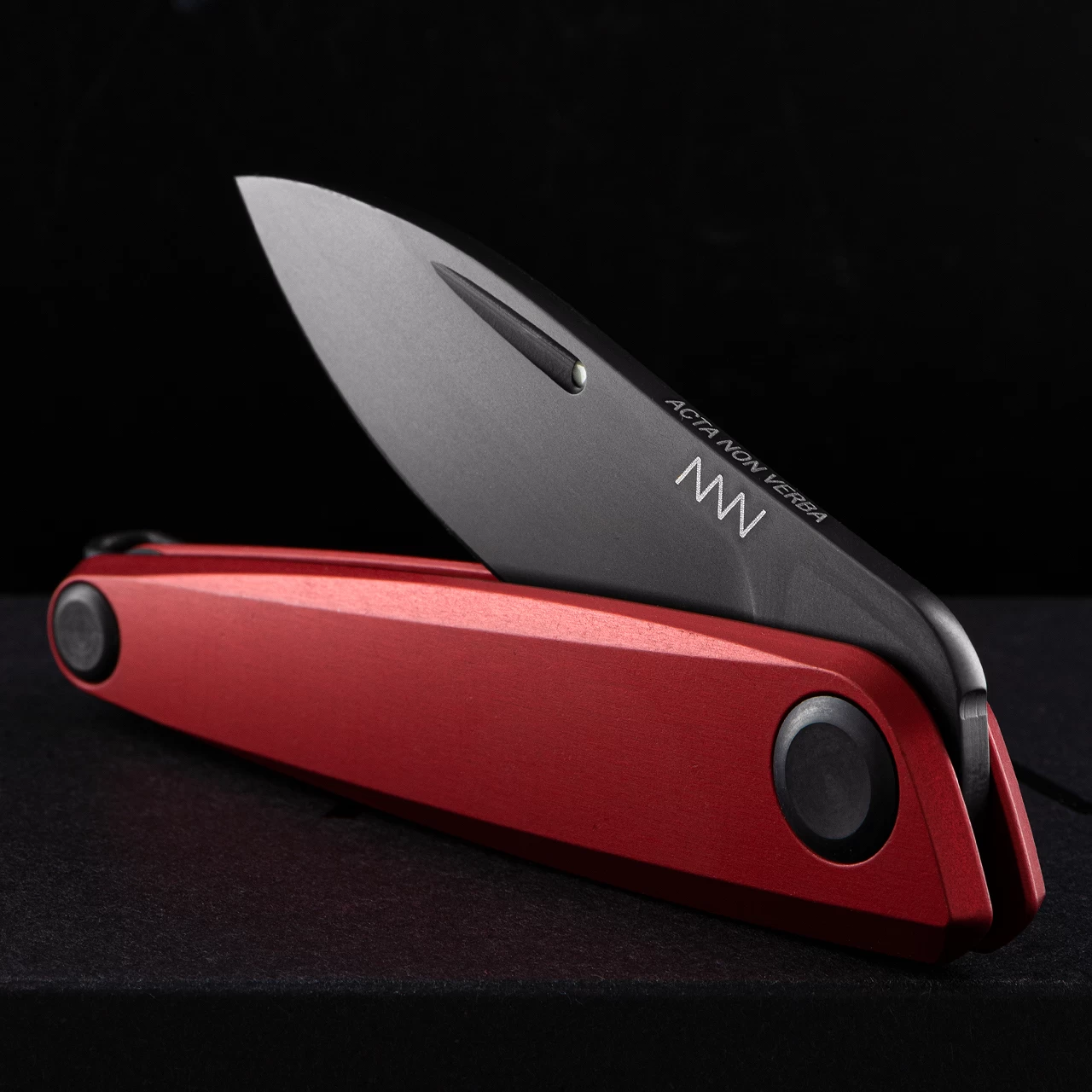 Acta Non Verba Z050 DLC 6 Acta Non Verba Z050 DLC - Image 4