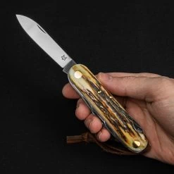 Fox Multipurpose Pocket Knife Stag 7 -Outdoor clothing and equipment FOX 2267 SCE.1 61935.1678276057